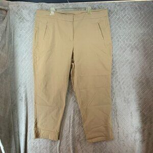 Lane Bryant Womens 22 Pants Beige Skinny Ankle High Rise Stretch Business Casual